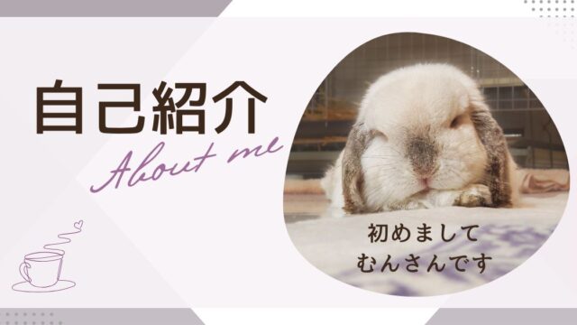 自己紹介