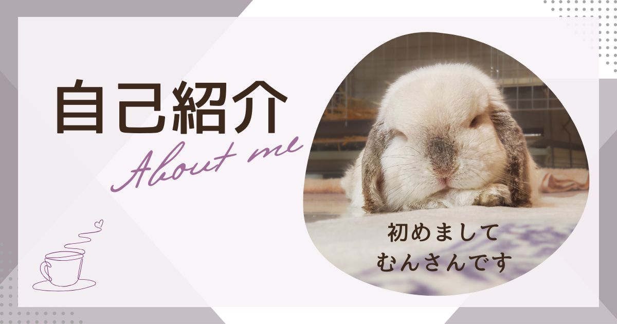 自己紹介