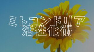 ミト活アイキャッチ