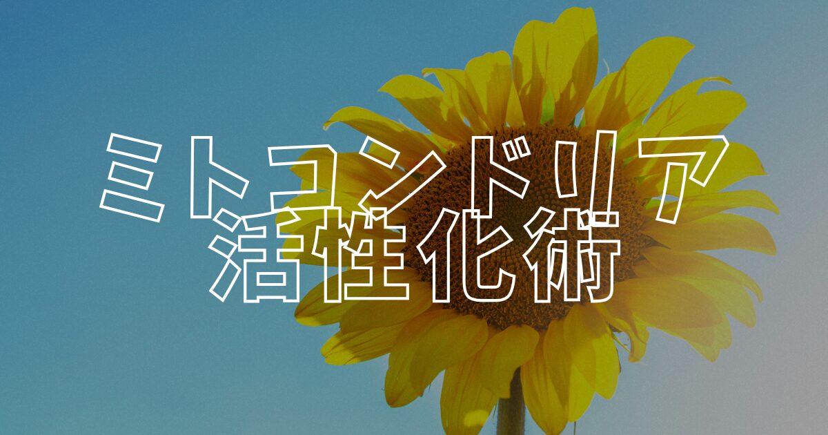 ミト活アイキャッチ